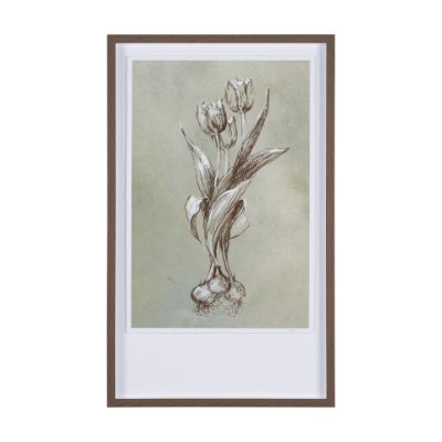 15352 - Botanical Sketch I (green) by Mercana Studio Hand Embellished Framed Art Print Matted under Glass
