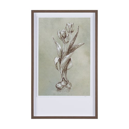 15352 - Botanical Sketch I (green) by Mercana Studio Hand Embellished Framed Art Print Matted under Glass