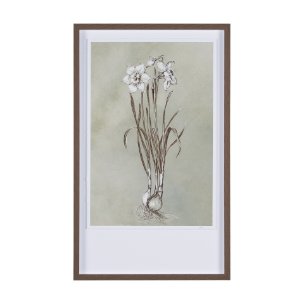 Botanical Sketch II (green) by Mercana Studio Hand Embellished Framed Art Print Matted under Glass