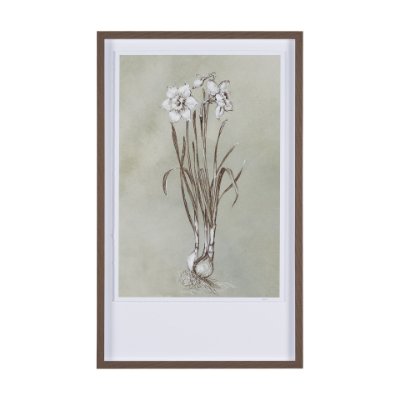 15353 - Botanical Sketch II (green) by Mercana Studio Hand Embellished Framed Art Print Matted under Glass
