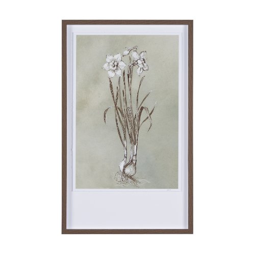 15353 - Botanical Sketch II (green) by Mercana Studio Hand Embellished Framed Art Print Matted under Glass