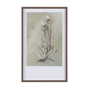 Botanical Sketch IV (green) by Mercana Studio Hand Embellished Framed Art Print Matted under Glass