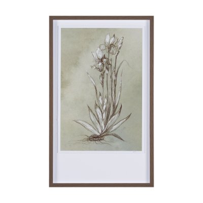 15354 - Botanical Sketch IV (green) by Mercana Studio Hand Embellished Framed Art Print Matted under Glass