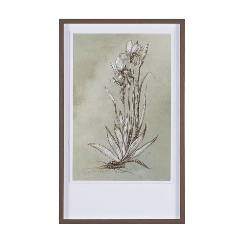 15354 - Botanical Sketch IV (green) by Mercana Studio Hand Embellished Framed Art Print Matted under Glass