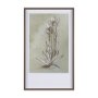 15354 - Botanical Sketch IV (green) by Mercana Studio Hand Embellished Framed Art Print Matted under Glass
