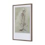 15354 - Botanical Sketch IV (green) by Mercana Studio Hand Embellished Framed Art Print Matted under Glass