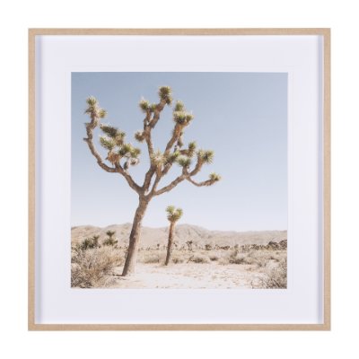 15359 - Joshua Tree 1 by THE Studio a Framed Photo Art Print Matted under Glass