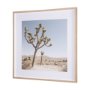 15359 - Joshua Tree 1 by THE Studio a Framed Photo Art Print Matted under Glass