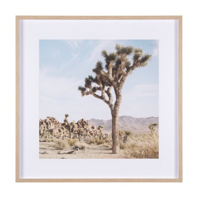 15360 - Joshua Tree 3 by THE Studio a Framed Photo Art Print Matted under Glass
