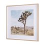 15360 - Joshua Tree 3 by THE Studio a Framed Photo Art Print Matted under Glass