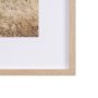 15360 - Joshua Tree 3 by THE Studio a Framed Photo Art Print Matted under Glass