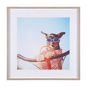 Retro Chihuahua by THE Studio a Framed Photo Art Print Matted under Glass