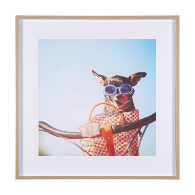 15361 - Retro Chihuahua by THE Studio a Framed Photo Art Print Matted under Glass
