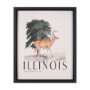 15364 - Travel Guide - Illinois by Vintage Collection a Hand Embellished Textured Framed Art Print
