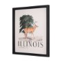 15364 - Travel Guide - Illinois by Vintage Collection a Hand Embellished Textured Framed Art Print