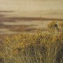15370 - Antelope Island by Gary Blatter a Hand Embellished Textured Framed Photo Art Print