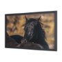 15377 - Wild Horses by Gary Blatter a Hand Embellished Textured Framed Photo Art Print