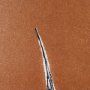 15378 - New Grasses 1  by Mary Margaret Briggs a Hand Embellished Textured Framed Art Print