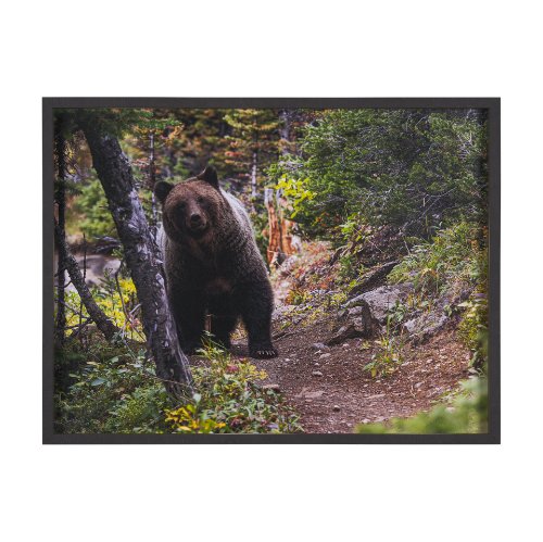15382 - Coming Round the Bend by Gary Blatter Hand Embellished Textured Framed Photo Art Print Matted under 