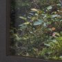 15382 - Coming Round the Bend by Gary Blatter Hand Embellished Textured Framed Photo Art Print Matted under 