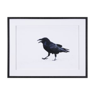 Raven Beauty by Gary Blatter a Hand Embellished Textured Framed Photo Art Print Matted under Glass
