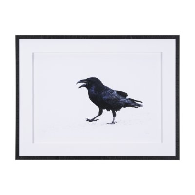 15383 - Raven Beauty by Gary Blatter a Hand Embellished Textured Framed Photo Art Print Matted under Glass