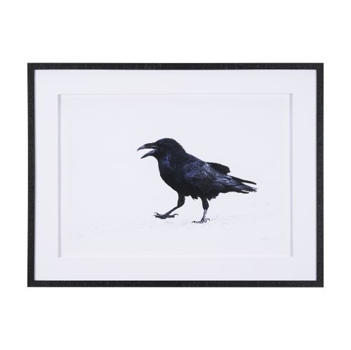 15383 - Raven Beauty by Gary Blatter a Hand Embellished Textured Framed Photo Art Print Matted under Glass