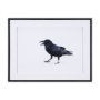 15383 - Raven Beauty by Gary Blatter a Hand Embellished Textured Framed Photo Art Print Matted under Glass