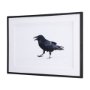 15383 - Raven Beauty by Gary Blatter a Hand Embellished Textured Framed Photo Art Print Matted under Glass