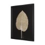 15393 - Hosta C by Mary Margaret Briggs a Hand Embelished Textured Framed Art Print