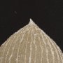 15393 - Hosta C by Mary Margaret Briggs a Hand Embelished Textured Framed Art Print