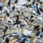 15399 - Snowgoose Migration 1 by Gary Blatter Hand Embellished Textured Framed Art Print Matted under Glass