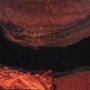 15401 - Horseshoe Bend by Gary Blatter a Hand Embelished Textured Framed Photo Art Print