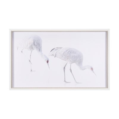15416 - Sandhill Crane I by Chad Mckay a Hand Embelished Textured Framed Photo Art Print