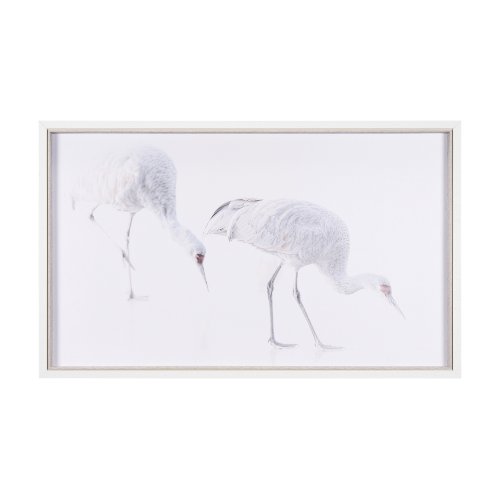15416 - Sandhill Crane I by Chad Mckay a Hand Embelished Textured Framed Photo Art Print