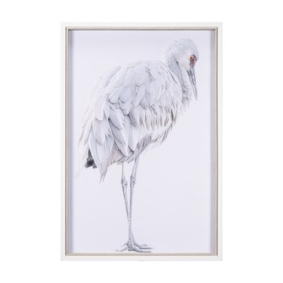 15417 - Sandhill Crane II by Chad Mckay a Hand Embelished Textured Framed Photo Art Print