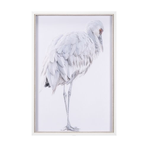15417 - Sandhill Crane II by Chad Mckay a Hand Embelished Textured Framed Photo Art Print