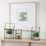 68839 - Sikes (Medium) 8L x 8W x 13H Hut Terrarium W/Glass Base