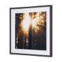 9162 - Woodland Glow by Andreas Stridsberg a Hand Embelished Textured Framed Art Photo Matted under Glass