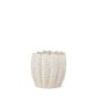 70987 - Velia Short Seashell Sculptural Cream Glazed Ceramic Vase