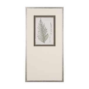 Fern Study I by Mercana Studio Hand Embelished Framed Art Print Matted under Glass