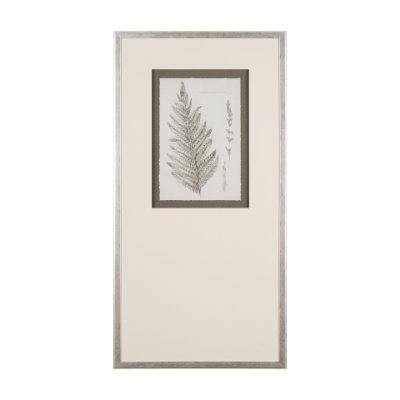 15424 - Fern Study I by Mercana Studio Hand Embelished Framed Art Print Matted under Glass
