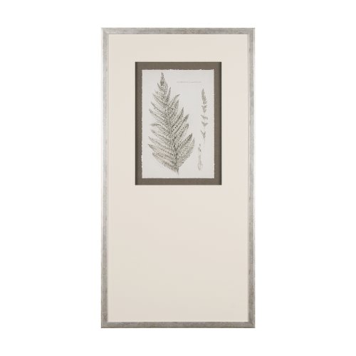 15424 - Fern Study I by Mercana Studio Hand Embelished Framed Art Print Matted under Glass