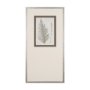 15424 - Fern Study I by Mercana Studio Hand Embelished Framed Art Print Matted under Glass