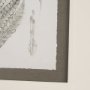 15424 - Fern Study I by Mercana Studio Hand Embelished Framed Art Print Matted under Glass