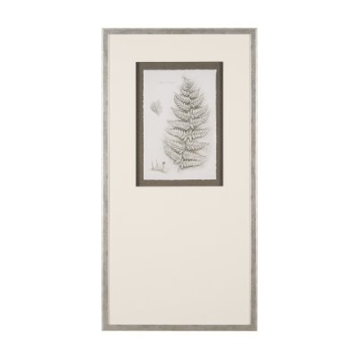 15425 - Fern Study II by Mercana Studio Hand Embelished Framed Art Print Matted under Glass