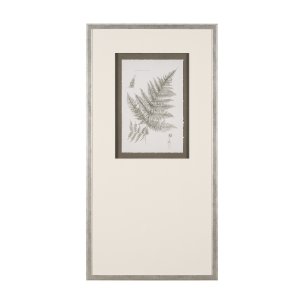 Fern Study III by Mercana Studio Hand Embelished Framed Art Print Matted under Glass