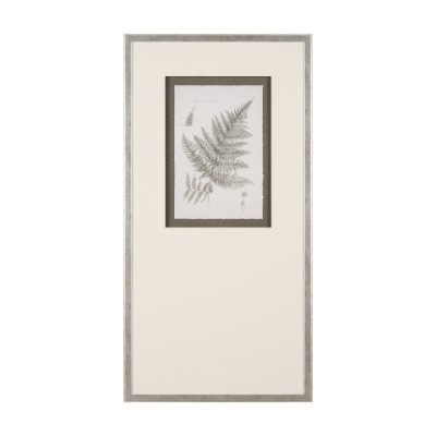 15426 - Fern Study III by Mercana Studio Hand Embelished Framed Art Print Matted under Glass