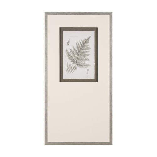 15426 - Fern Study III by Mercana Studio Hand Embelished Framed Art Print Matted under Glass