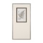 15426 - Fern Study III by Mercana Studio Hand Embelished Framed Art Print Matted under Glass